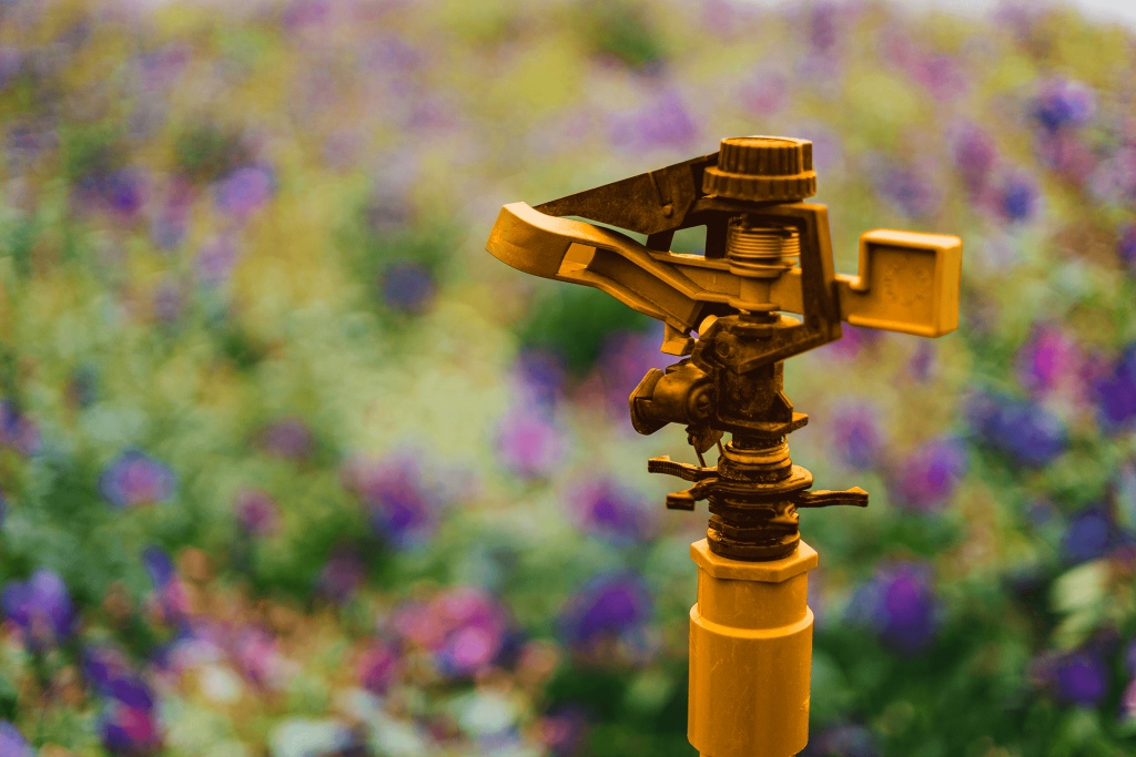 Sprinkler Summer Plumbing