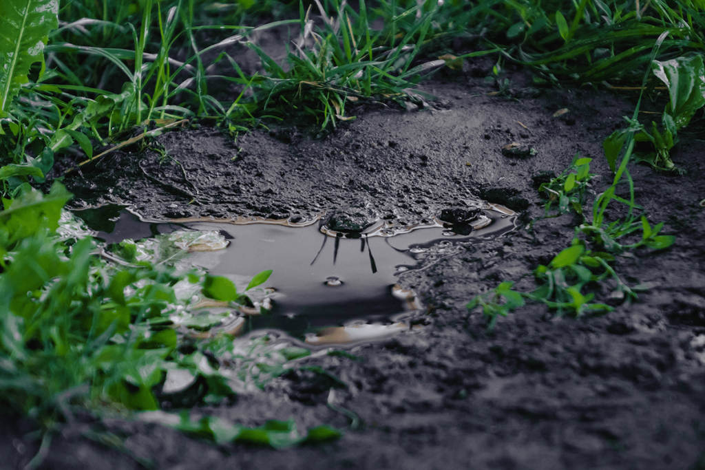 Puddle forming in yard