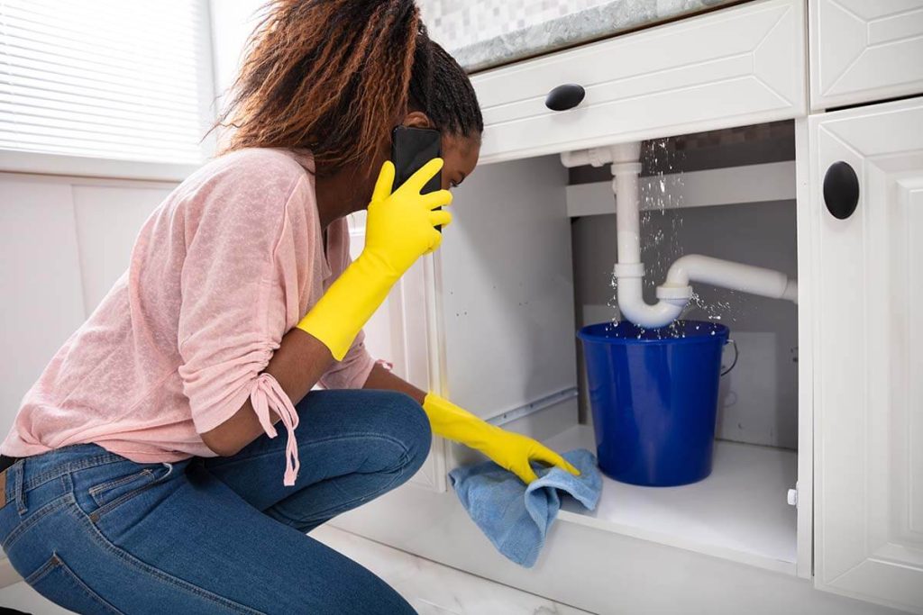 Woman Placing Bucket Under A Leaking Sink Pipe